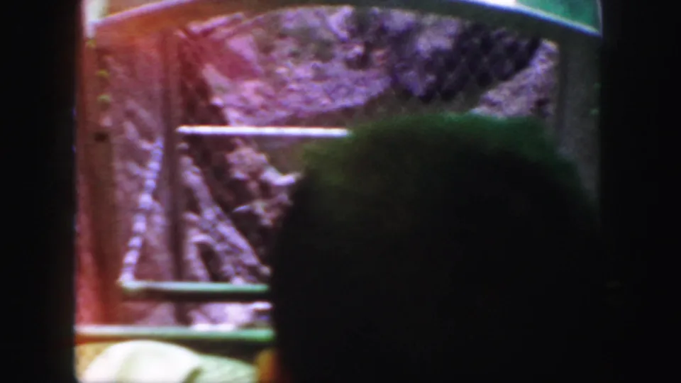 A dark passenger silhouette appears inside the green railway car as canyon rock and safety railings pass outside.