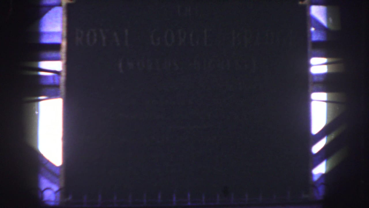 Close view of the Royal Gorge Bridge plaque with side light and bars.
