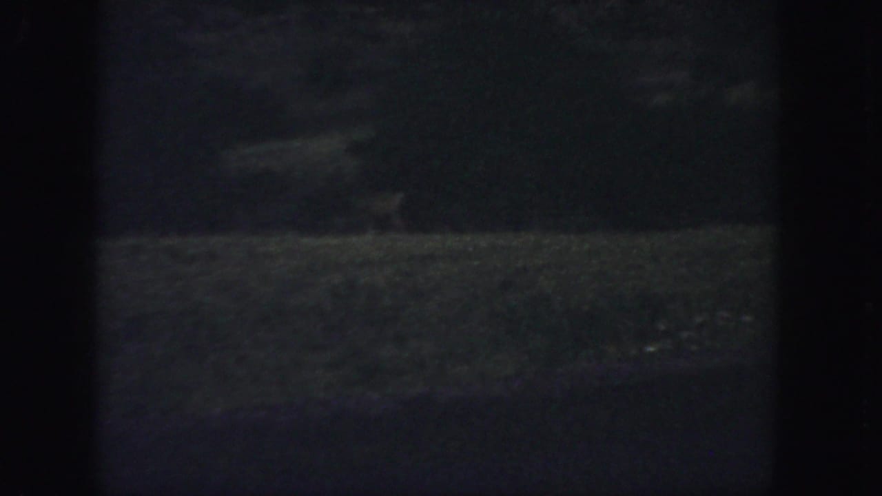 1958 Colorado 8mm frame showing a dim grassy clearing, dark woods, and a barely defined small figure or animal near the trees.