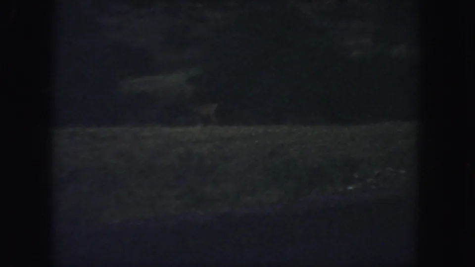 1958 Colorado 8mm frame showing a dim grassy clearing, dark woods, and a barely defined small figure or animal near the trees.
