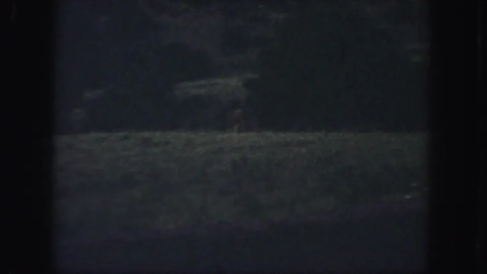 1958 Colorado home-movie frame with a shadowed clearing and a faint small figure or animal near the right side of the woods.