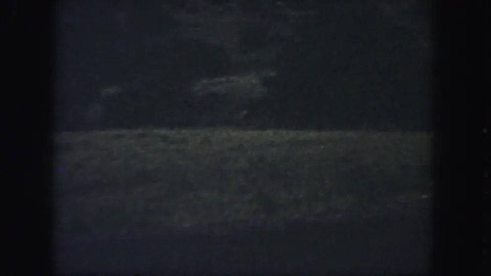 Dark 8mm frame from Colorado showing grass, trees, and a blurred small form against the shadowed clearing.