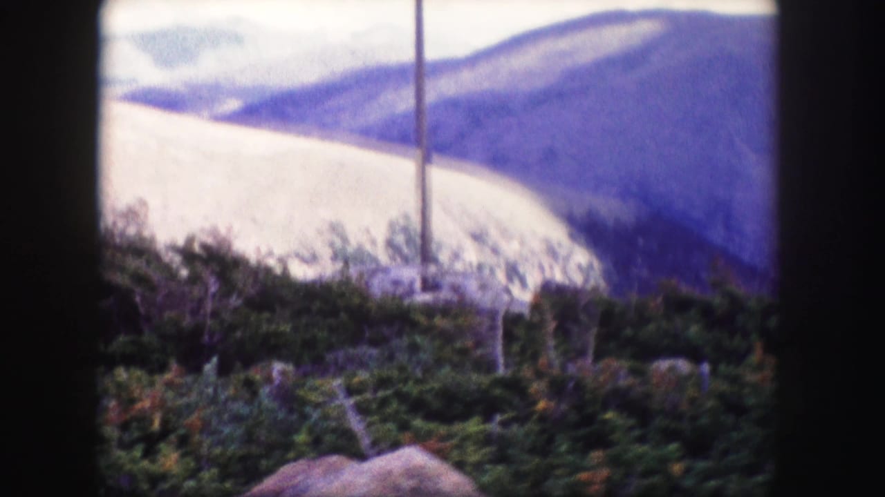 Mountain ridges and evergreen trees with a utility pole near the center.