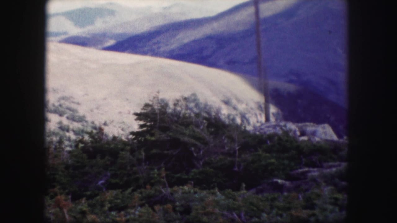Colorado mountain vista on 8mm film with pale slopes, blue ridges, foreground evergreens, and a utility pole at the right edge.
