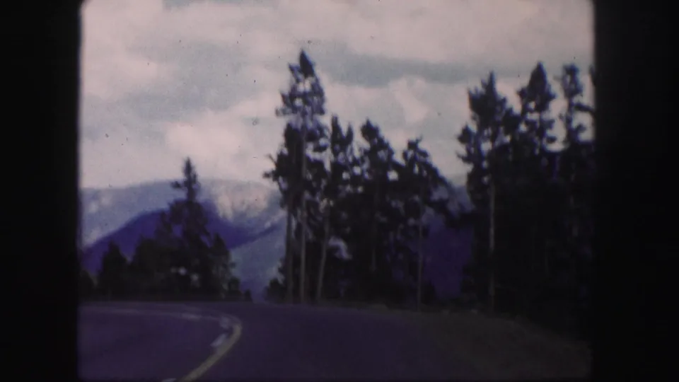 1958 Colorado 8mm road view with tall pines beside a curve and blue-gray mountain slopes in the distance.