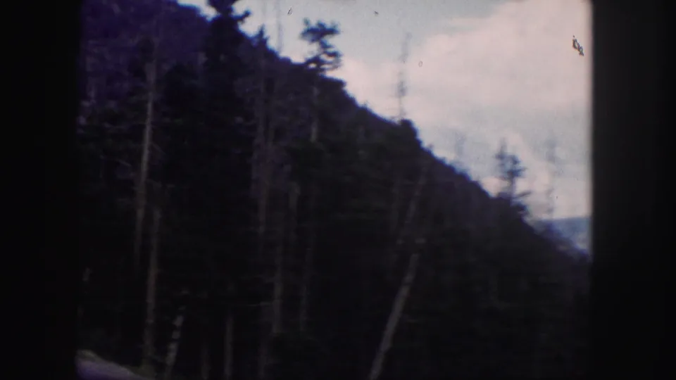 1958 Colorado 8mm frame with a shadowed evergreen slope, tall tree trunks, and a pale sky above distant terrain.