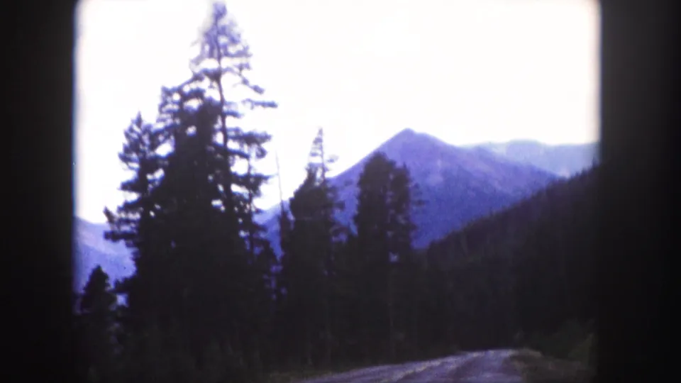 1958 Colorado 8mm view of a forested roadside, evergreen trees, and a distant pointed mountain peak in bright light.