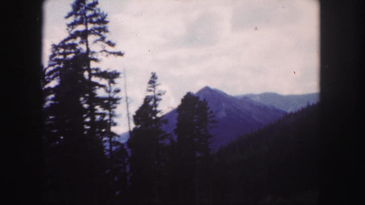 Evergreen trees frame a distant mountain peak under an overcast sky.