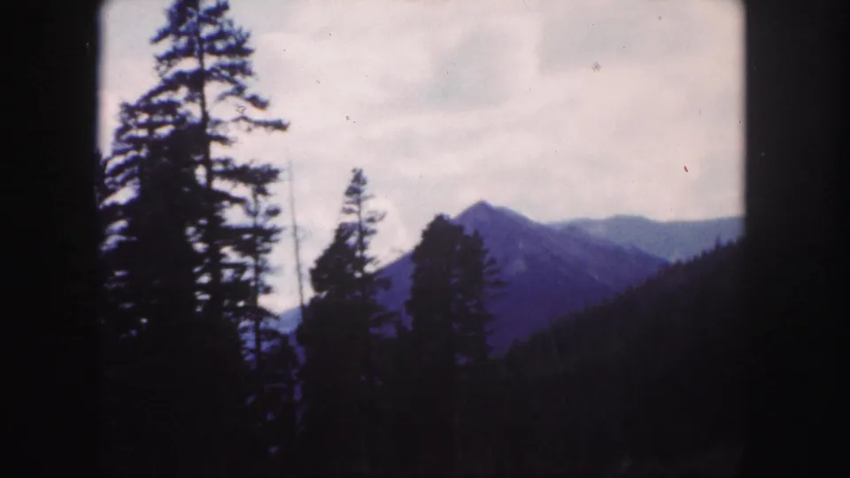 1958 Colorado home-movie frame showing tall evergreens silhouetted against a hazy mountain view.