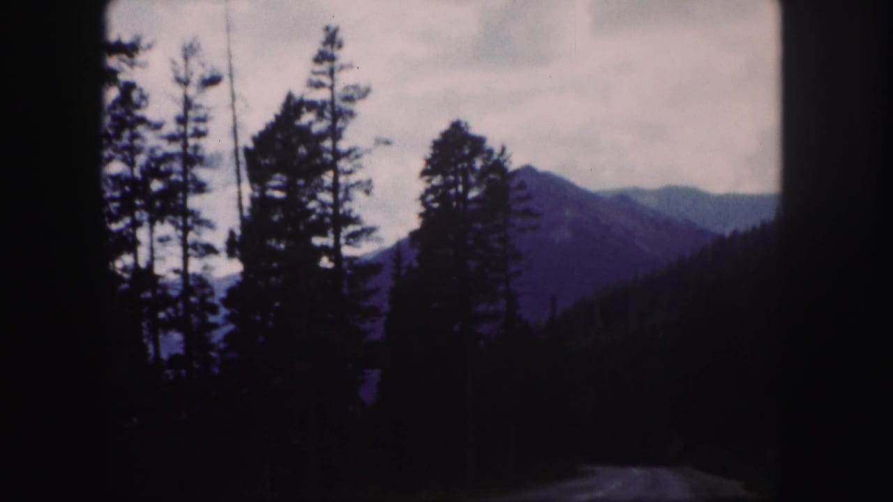 Forest trees and a mountain ridge appear beside a curving road.