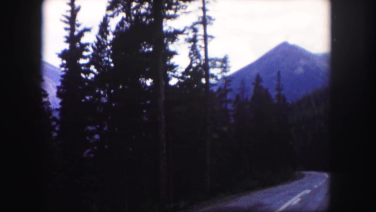1958 Colorado 8mm road view from a moving vehicle, with evergreen trees silhouetted against rocky mountain peaks.