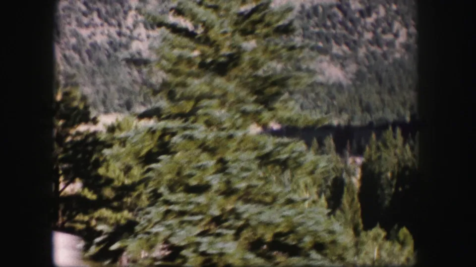 A moving 8mm view past a roadside evergreen, with Colorado forest and mountain slopes softened by motion blur.