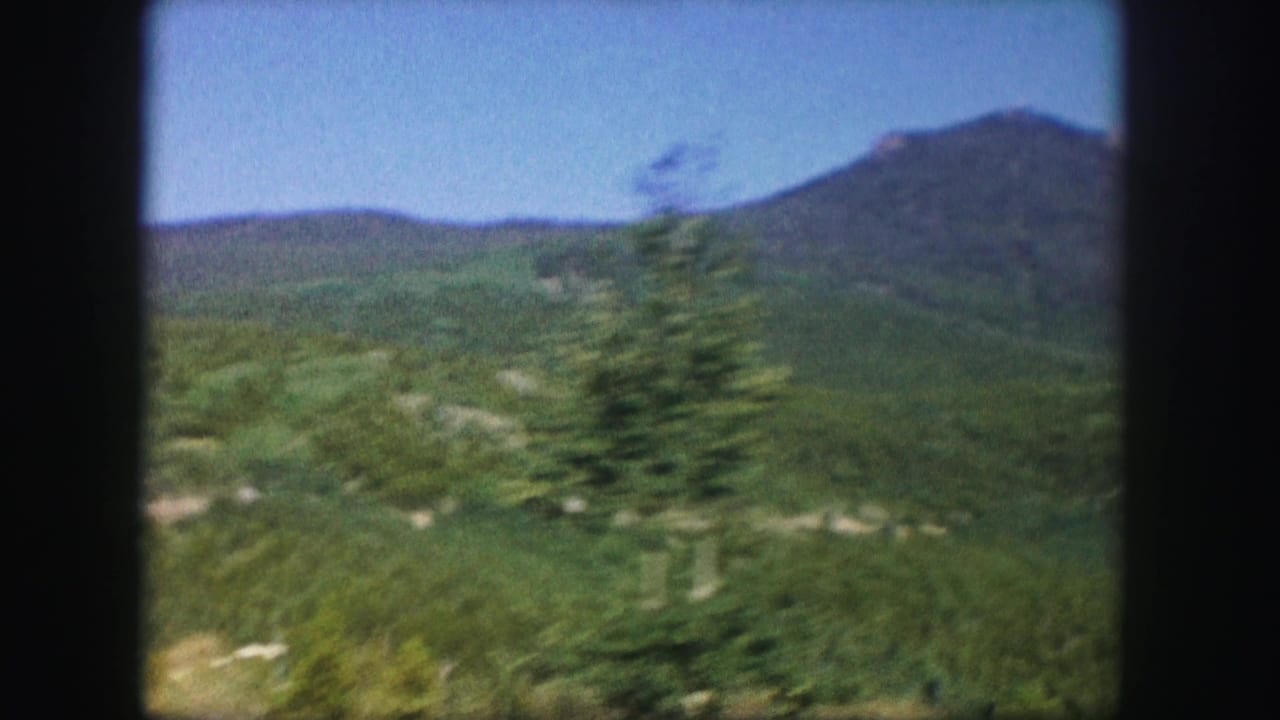 Green mountain slope with a passing evergreen tree in the foreground.
