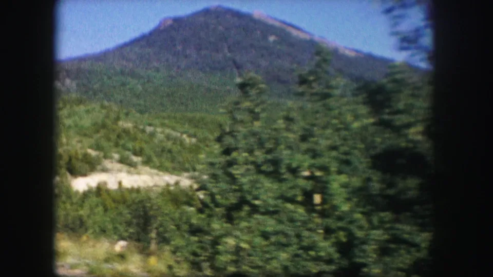 1958 Colorado 8mm frame of a forested mountain peak partly obscured by passing roadside trees and brush.
