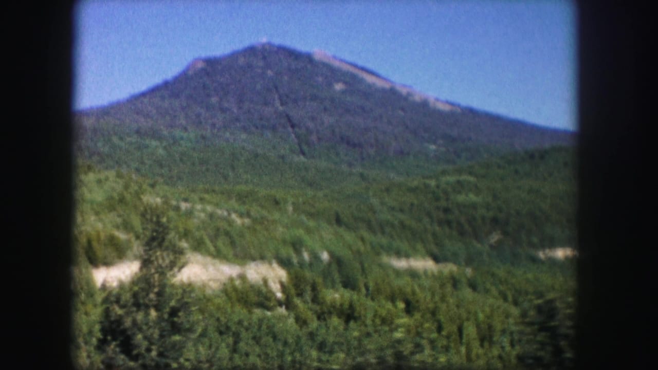 1958 Colorado 8mm view of a tree-covered mountain rising above dense forest under a clear blue sky.