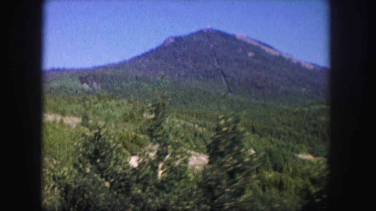 Tree-covered mountain and forested slopes under blue sky.