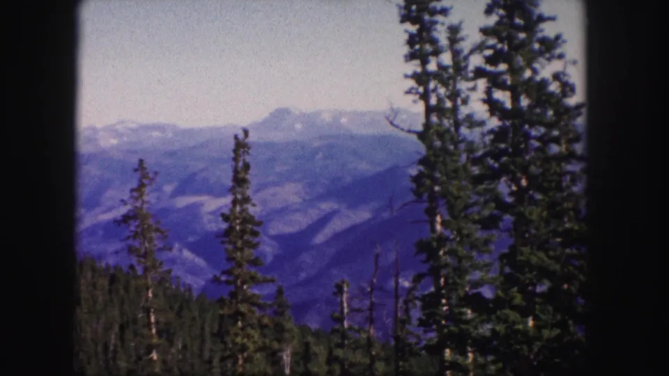 1958 Colorado 8mm frame showing forested foreground trees against hazy mountain ranges.