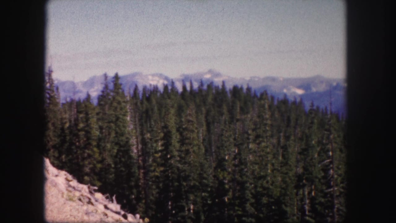 1958 Colorado 8mm view over a thick evergreen forest toward hazy, snow-streaked mountain ridges.