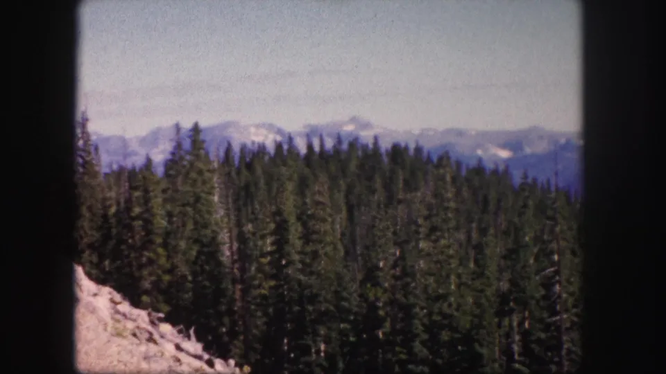 1958 Colorado 8mm view over a thick evergreen forest toward hazy, snow-streaked mountain ridges.