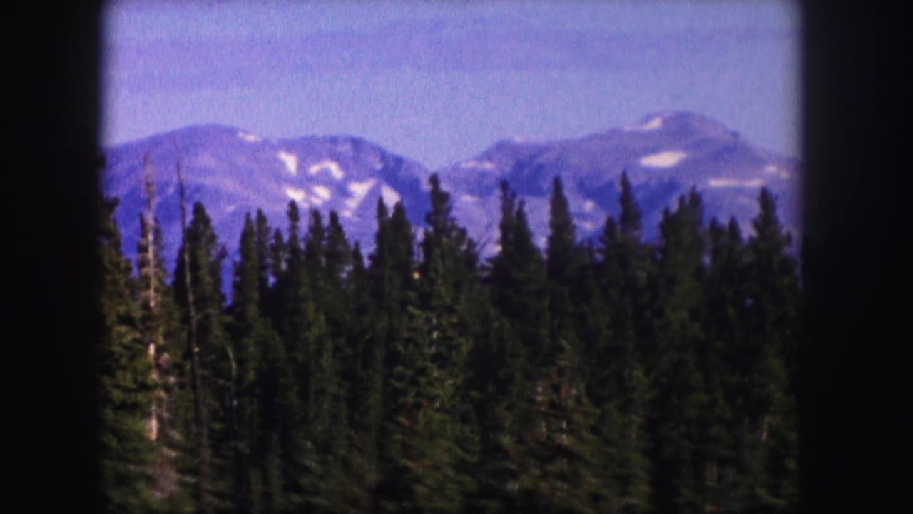 Evergreen forest in front of distant snow-dusted mountains under a blue sky.