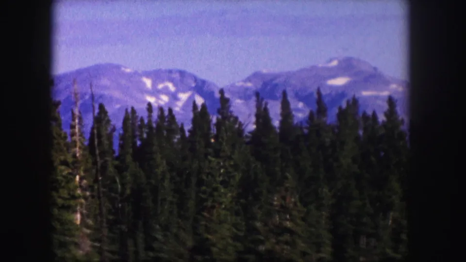 1958 Colorado 8mm frame showing dark evergreen treetops before soft blue-gray mountains with small snow patches.