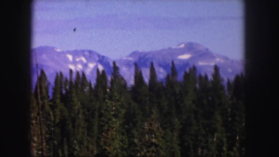 1958 Colorado 8mm frame showing a slightly softer view of evergreens and distant snow-marked mountains.