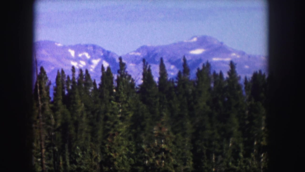 Evergreen treetops frame distant mountains with small patches of snow.