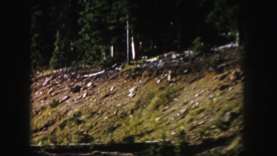 Colorado roadside trees and a rough forested slope in 1958 8mm home-movie footage.