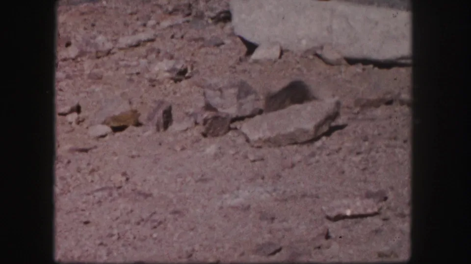 1958 Colorado 8mm frame of loose alpine-looking rocks and gravel, with a small squirrel-like animal partly visible near the lower left.