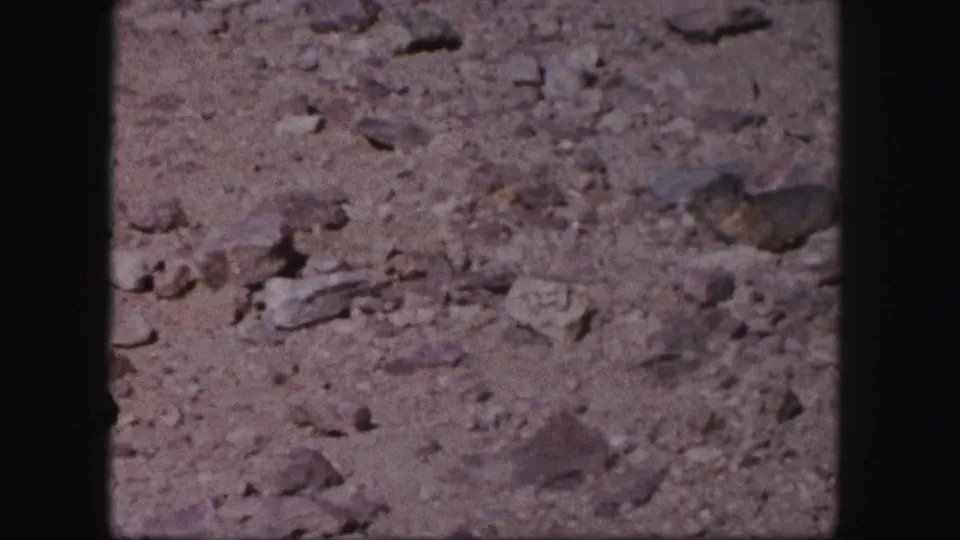 A handheld 8mm frame shows dusty rocky Colorado ground, with the small animal partly obscured by blur and texture.