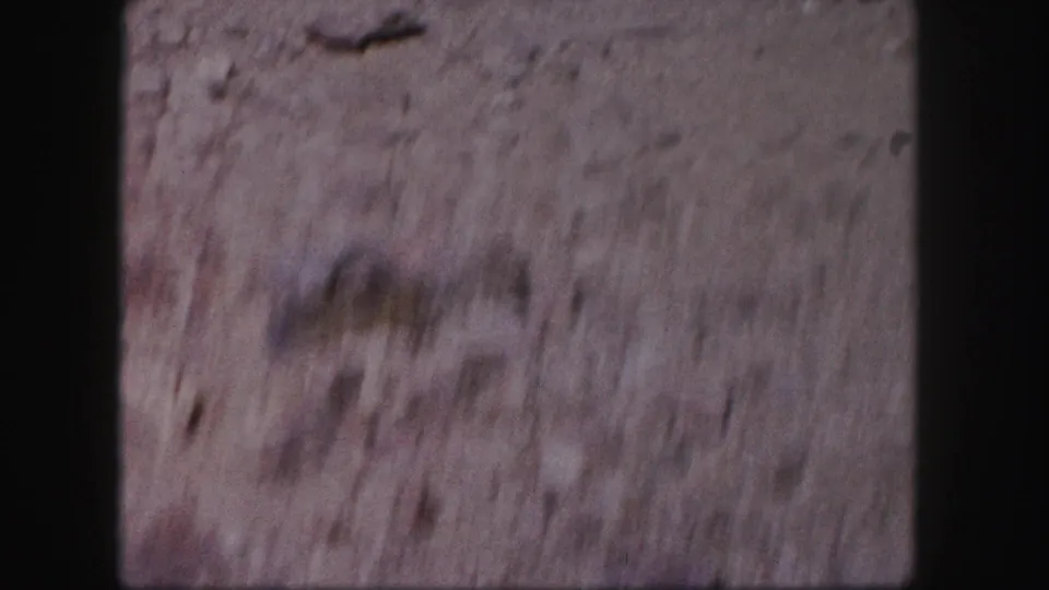 Blurred handheld frame of dry ground texture, likely during a quick camera movement in the Colorado home movie.