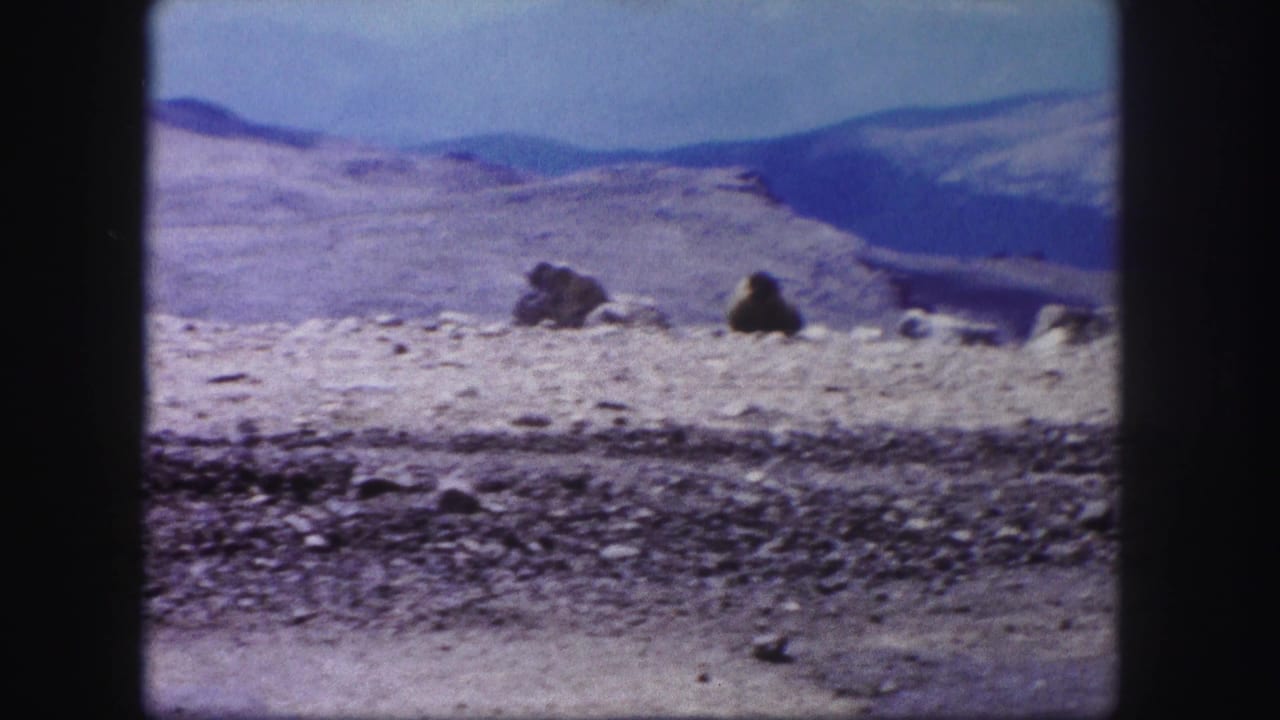 1958 Colorado 8mm frame of arid pale ground, scattered rocks, boulders, and blue-gray mountain ridges in the distance.