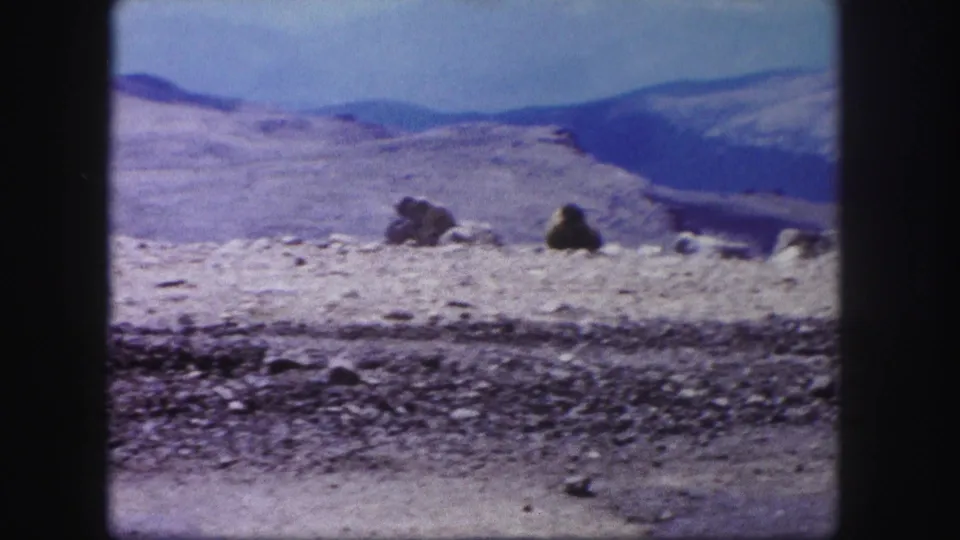 1958 Colorado 8mm frame of arid pale ground, scattered rocks, boulders, and blue-gray mountain ridges in the distance.