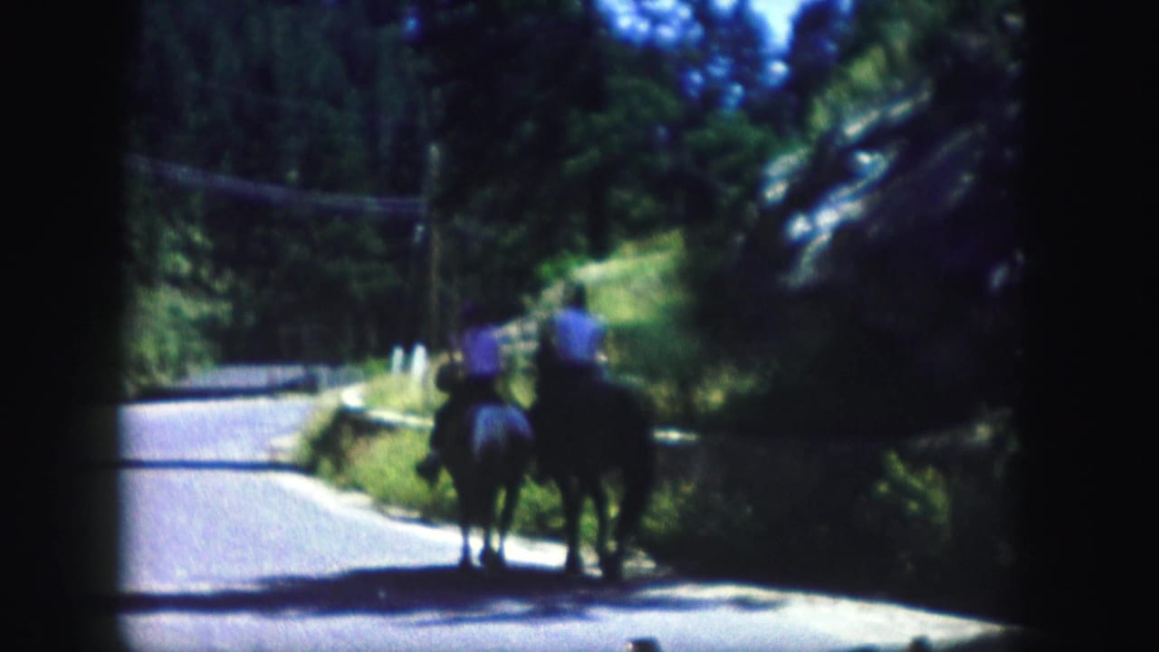 Two horseback riders appear on a winding Colorado road, with trees, hillside vegetation, and overhead lines in the background.