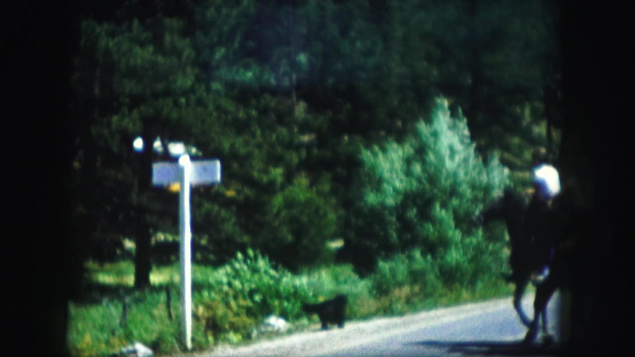 A horseback rider appears near the edge of a road with white signposts and dense greenery.