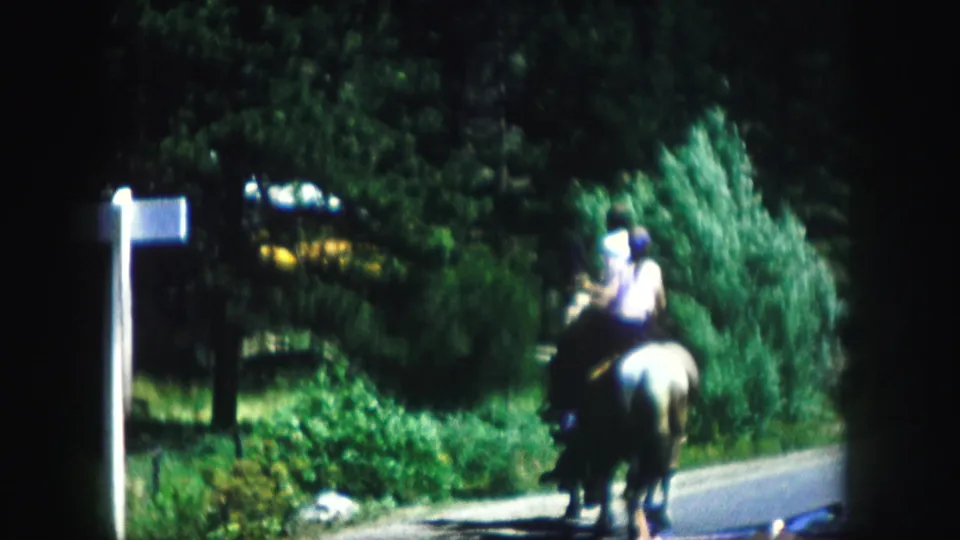 A horseback rider travels away from the camera on a rural Colorado road bordered by shrubs and trees.