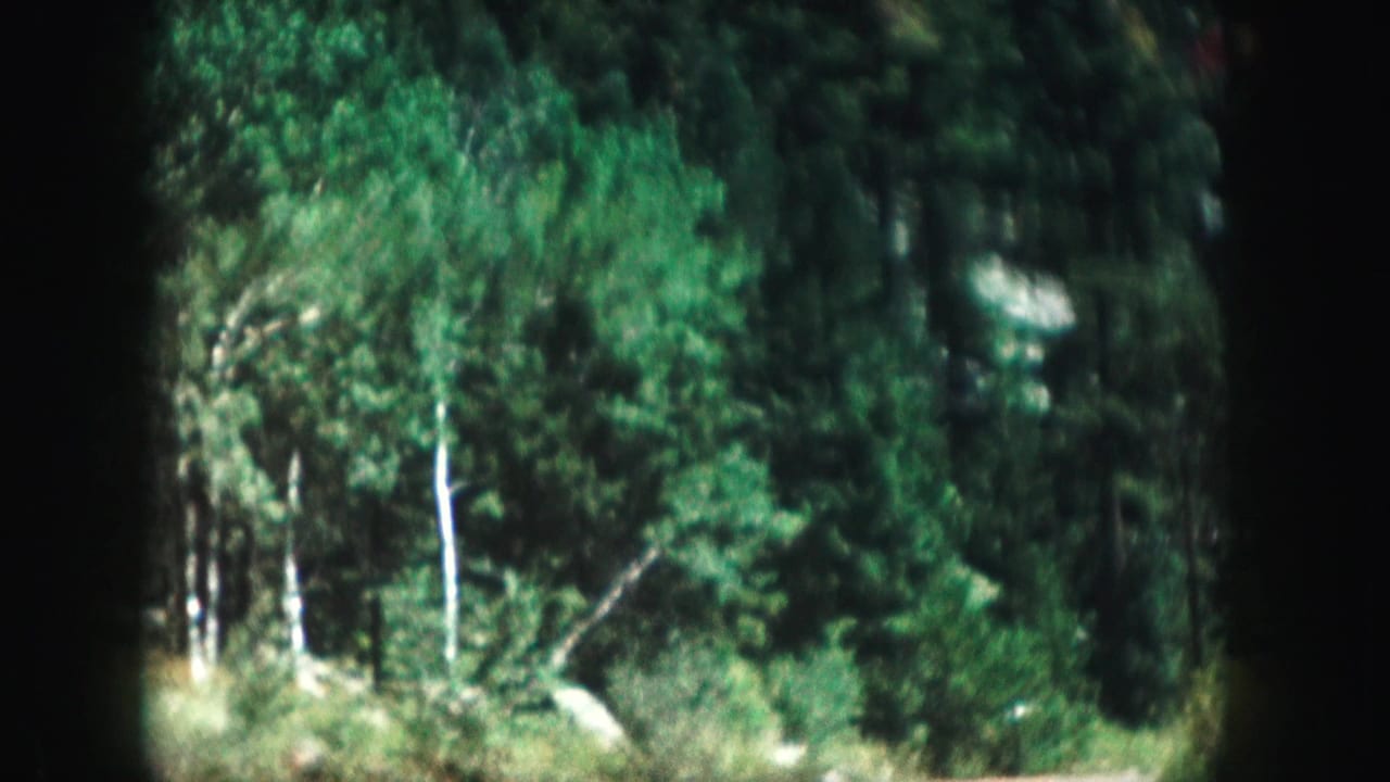Dense green trees line the roadside after the riders leave view.