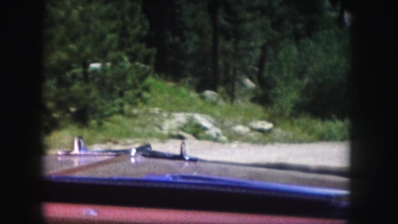 1958 Colorado 8mm frame showing a car hood and chrome trim facing a pale forest road lined with trees and rocks.
