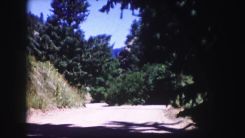 1958 Colorado 8mm frame showing a pale rural road through dense trees, with blue sky and distant hills visible beyond the roadside vegetation.