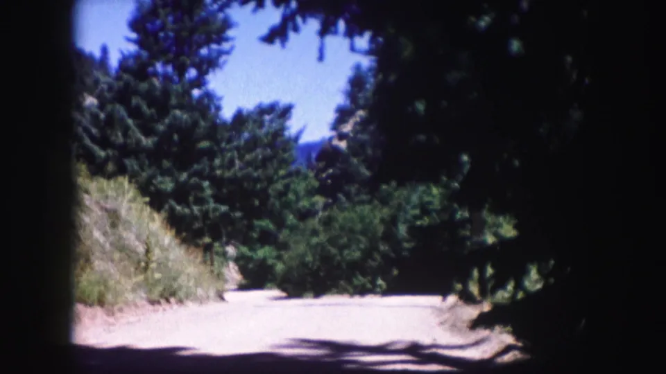 1958 Colorado home-movie frame of a wooded rural road bordered by evergreens and shaded branches, with blue sky and distant hills in the background.