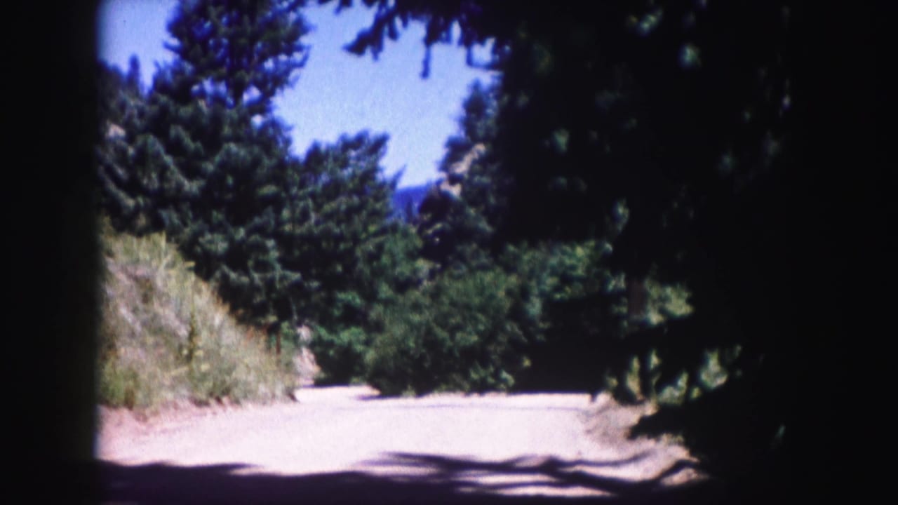 1958 Colorado 8mm frame showing a pale dirt road bordered by evergreen trees, dry grass, and patches of blue sky.