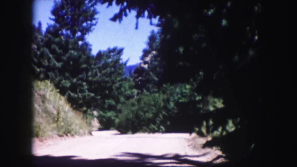 Colorado 1958 8mm frame showing a dusty mountain road bordered by conifers, dry grass, and dark overhanging shade.