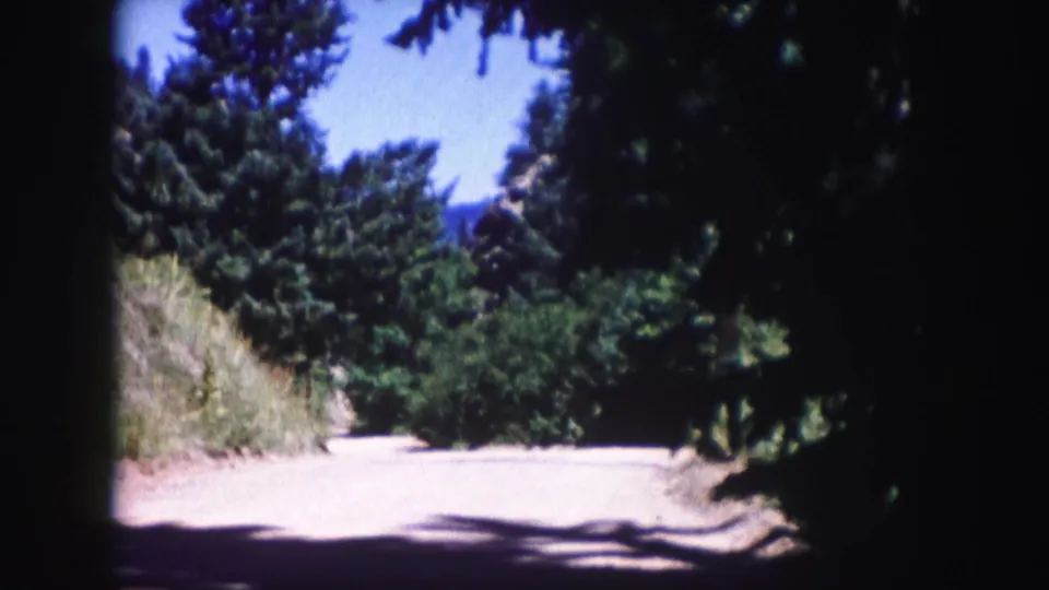 1958 Colorado 8mm frame with a bright dirt road, dense green trees, roadside grass, and deep foreground shadow.