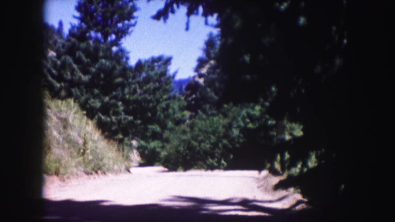 1958 Colorado 8mm frame showing a pale dirt trail bordered by evergreens and a sloped, grassy roadside.