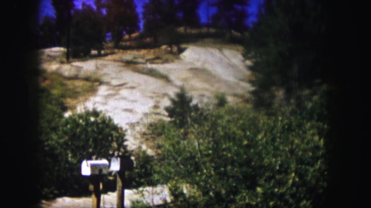 Similar hillside view with mailbox, shrubs, pale road, trees, and bright sky.