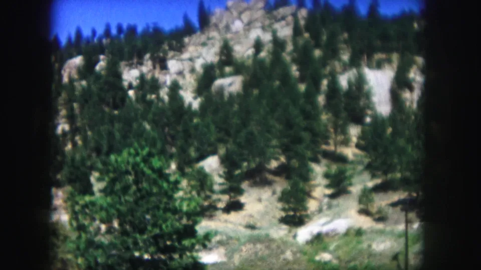 1958 Colorado home-movie frame showing pine trees and pale rock formations on a dry mountain slope.