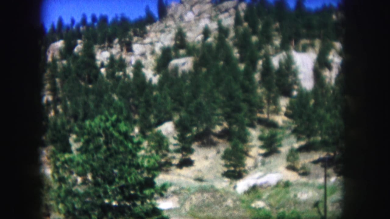 Pine trees and pale boulders on a rocky hillside under blue sky.