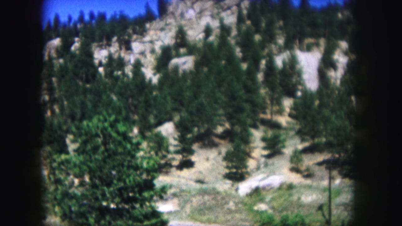 Rocky mountain slope with pine trees, grass, and dark film edges.