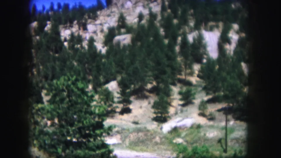 1958 home-movie frame of a sunlit Colorado hillside with pines, pale stones, dry grass, and soft focus from the 8mm scan.