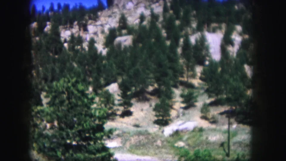 Colorado mountain landscape on 8mm film, showing pines, pale rocks, dry terrain, and a narrow vertical pole or frame edge near the lower right.